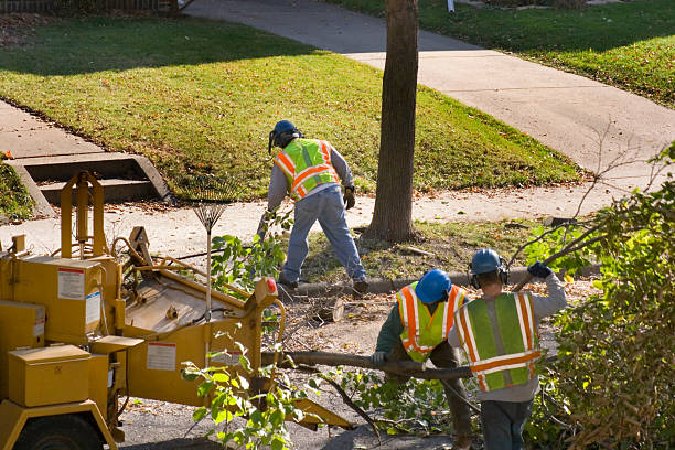 Lawn Irrigation Installation and Maintenance in Crystal, MN